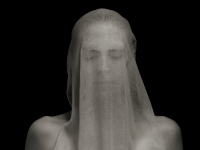 Veil